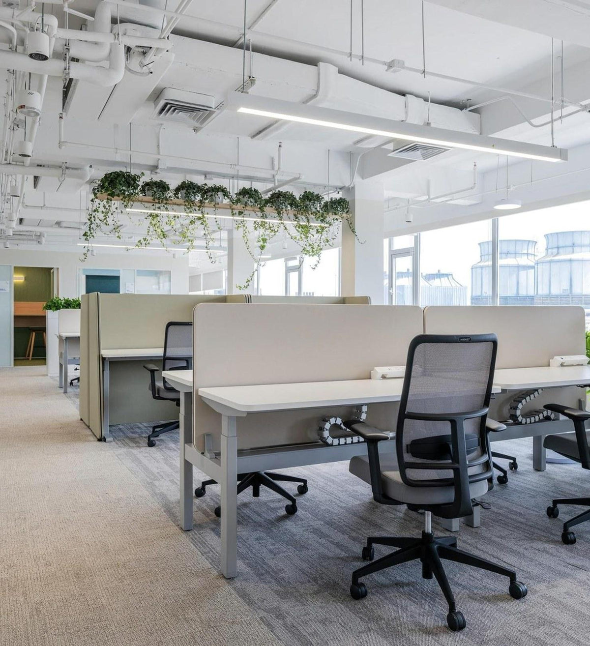 MATSU CHIC Sunrise — Sit-Stand Desk