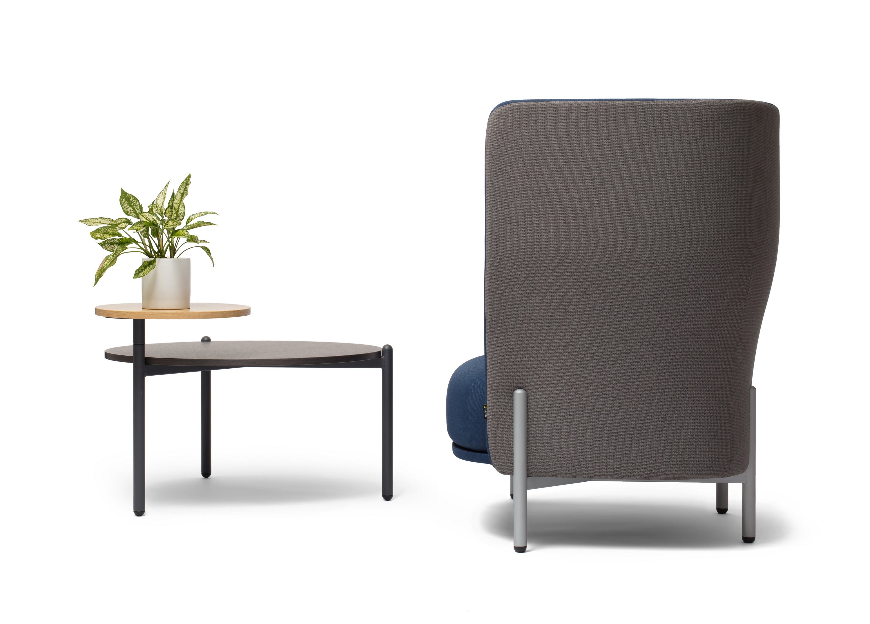  MATSU Collar Sofa Collection 