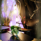 Nomad Coffee Side Table II - MATSU Europe & Middle East